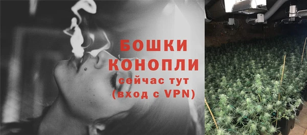 ПСИЛОЦИБИНОВЫЕ ГРИБЫ Мегион