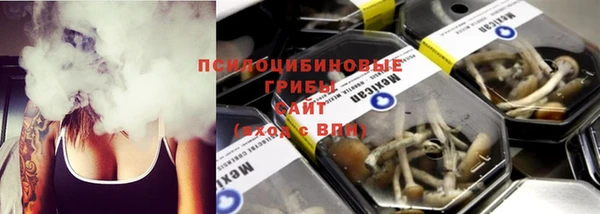 ПСИЛОЦИБИНОВЫЕ ГРИБЫ Мегион